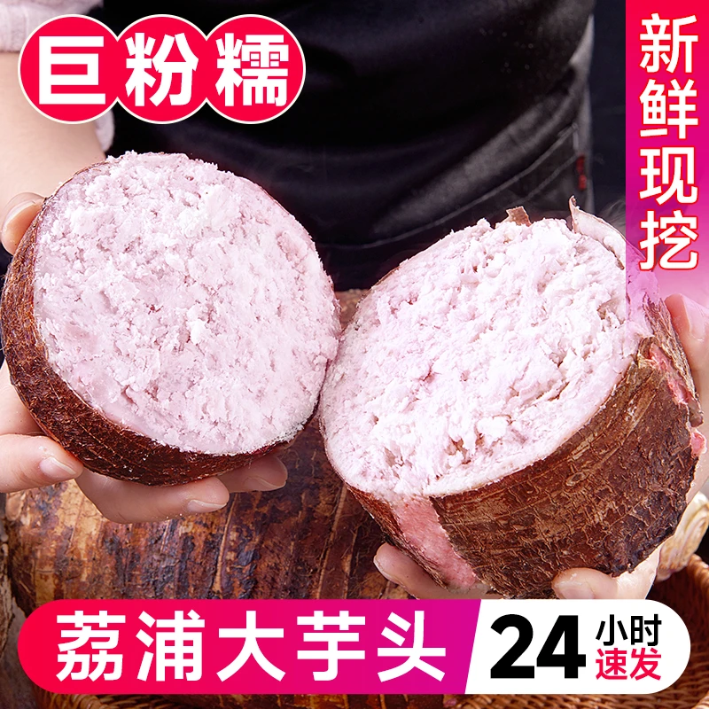 【正品保障】广西荔浦芋头新鲜香芋小芋头现挖槟榔芋毛芋艿粉糯香甜