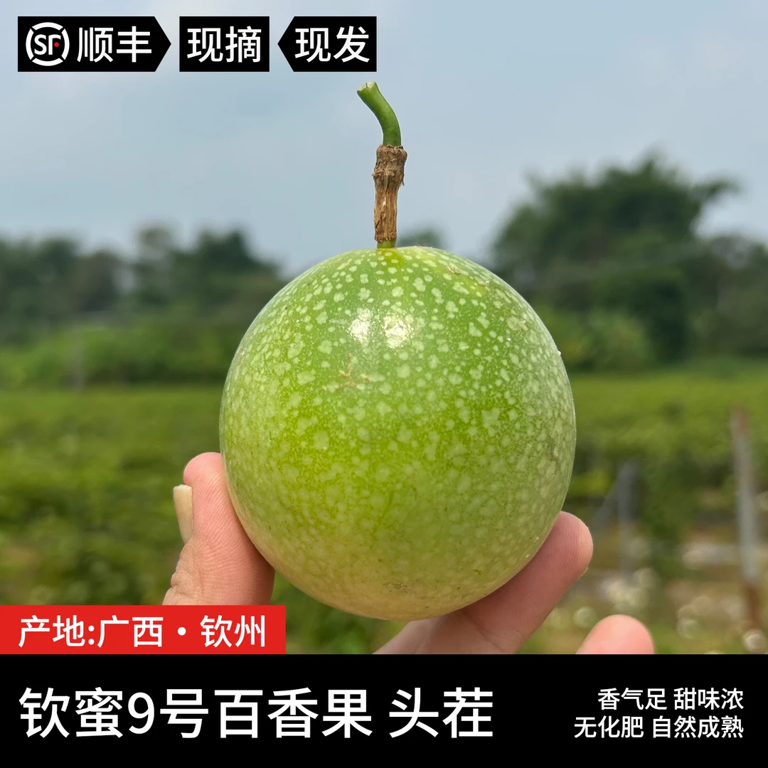 【顺丰】广西钦蜜9号百香果 生态种植很香很甜