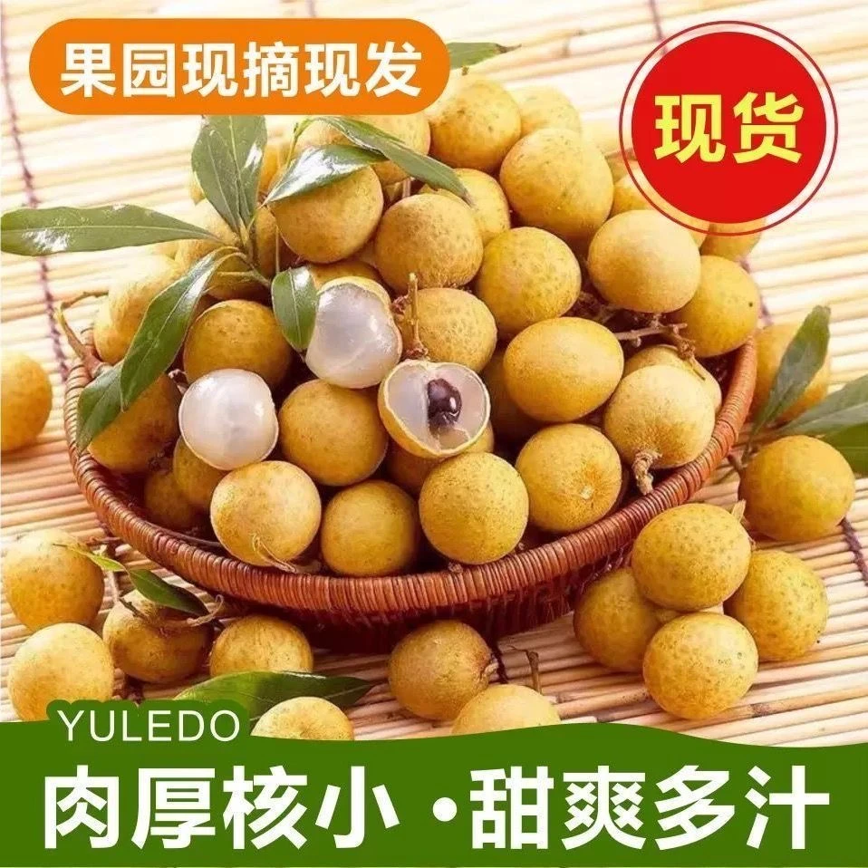 现摘泰国热带龙眼新鲜水果大果泰国龙眼当季水果整箱包邮金标