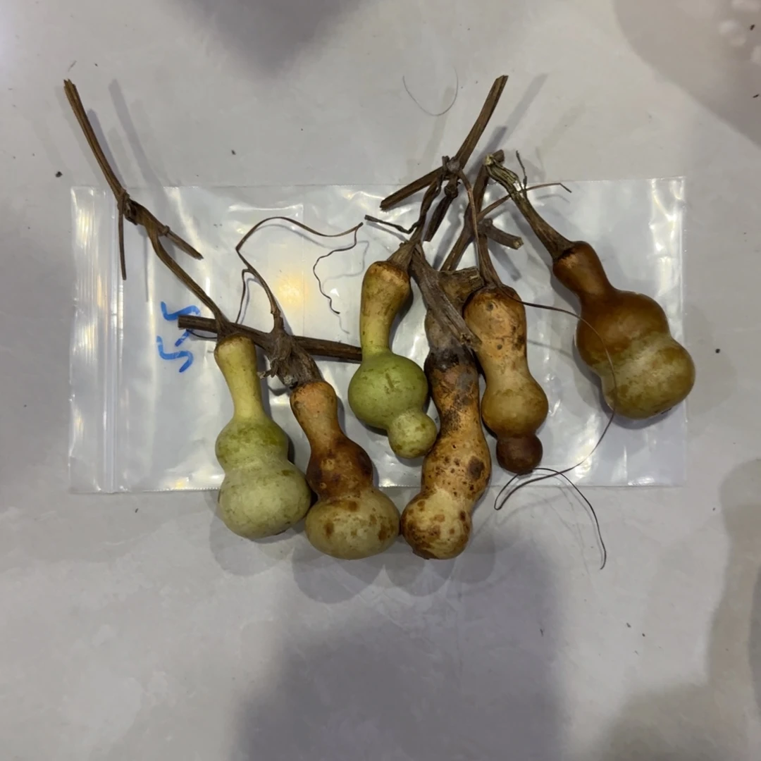 暗***韵青皮不包成青皮不包成