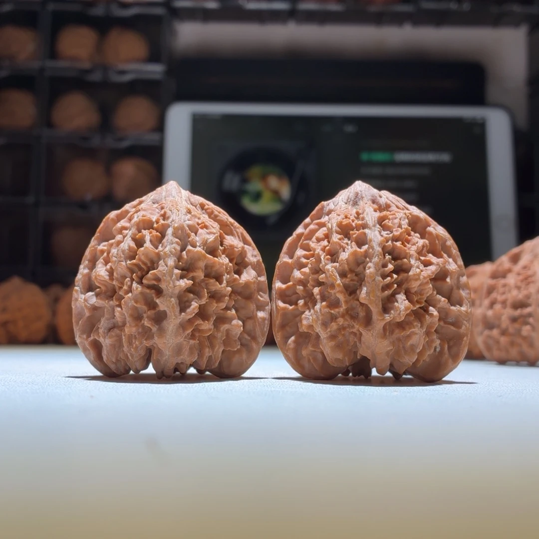 把件文玩核桃满天星43