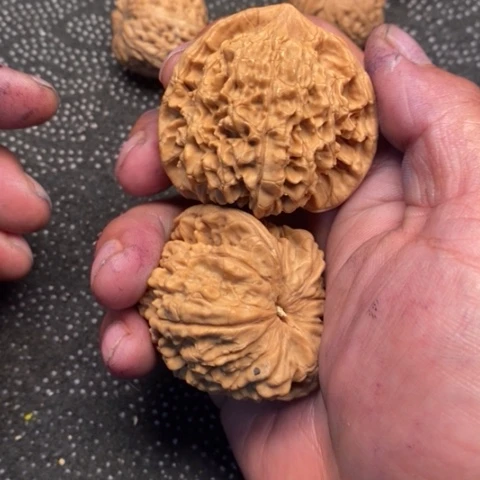 文玩核桃把件官帽5.5