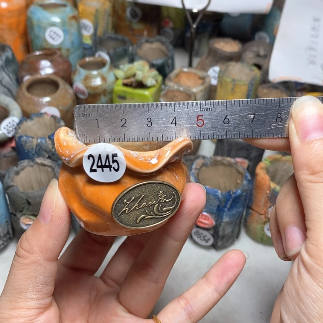 拍3送一个小礼物