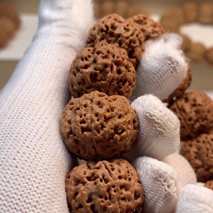 吊坠金刚菩提大**针23尺寸蜂王