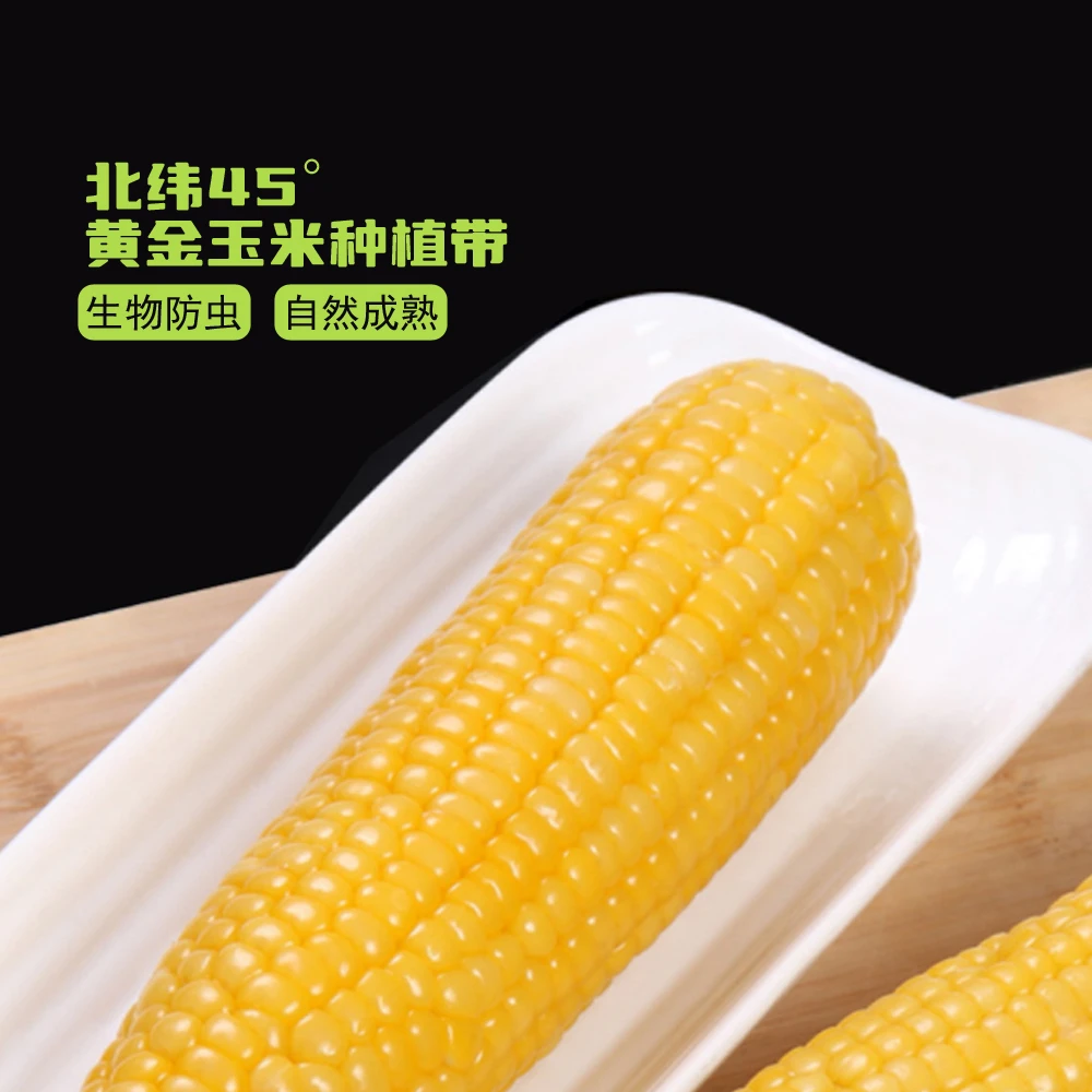试吃两根黄糯玉米香甜软糯粗粮 软粘玉米棒 整箱10支5.5-6斤...