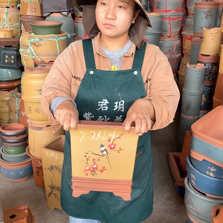 紫砂花盆盆栽花卉苗木种植