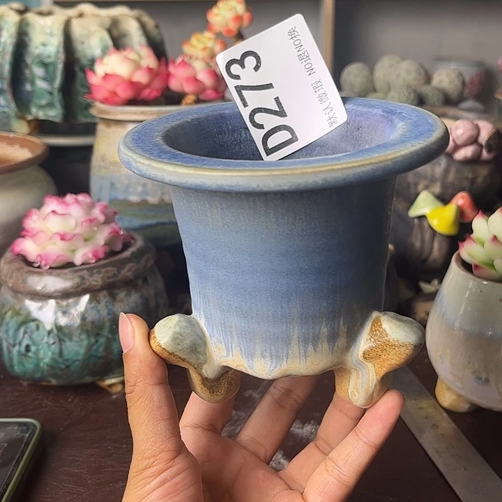 心***重庆小燕子欢迎大家来，273