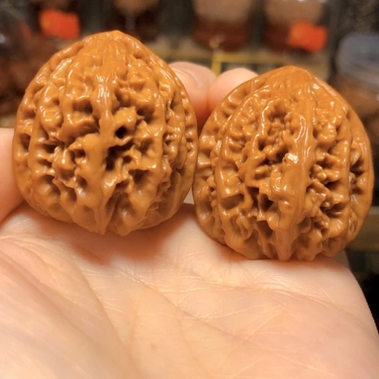 野生小众：卧龙粗筋