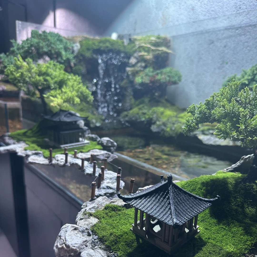 溪流缸悬浮造景。