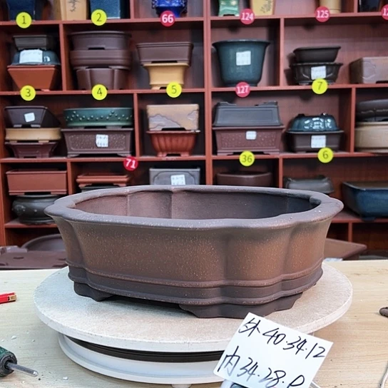 红陶云*景紫砂花盆里放的