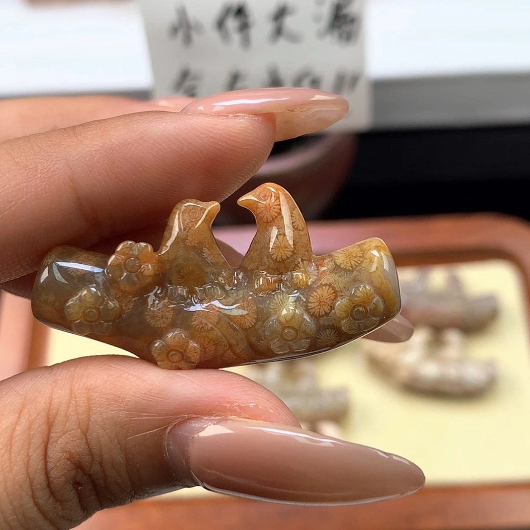 【闪购商品】颈饰未镶嵌硅化珊瑚（珊瑚玉）彩*