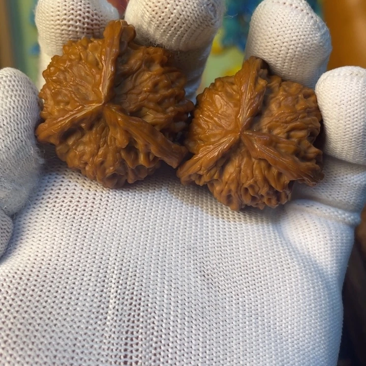 龙脊菩提吊坠盘山三棱