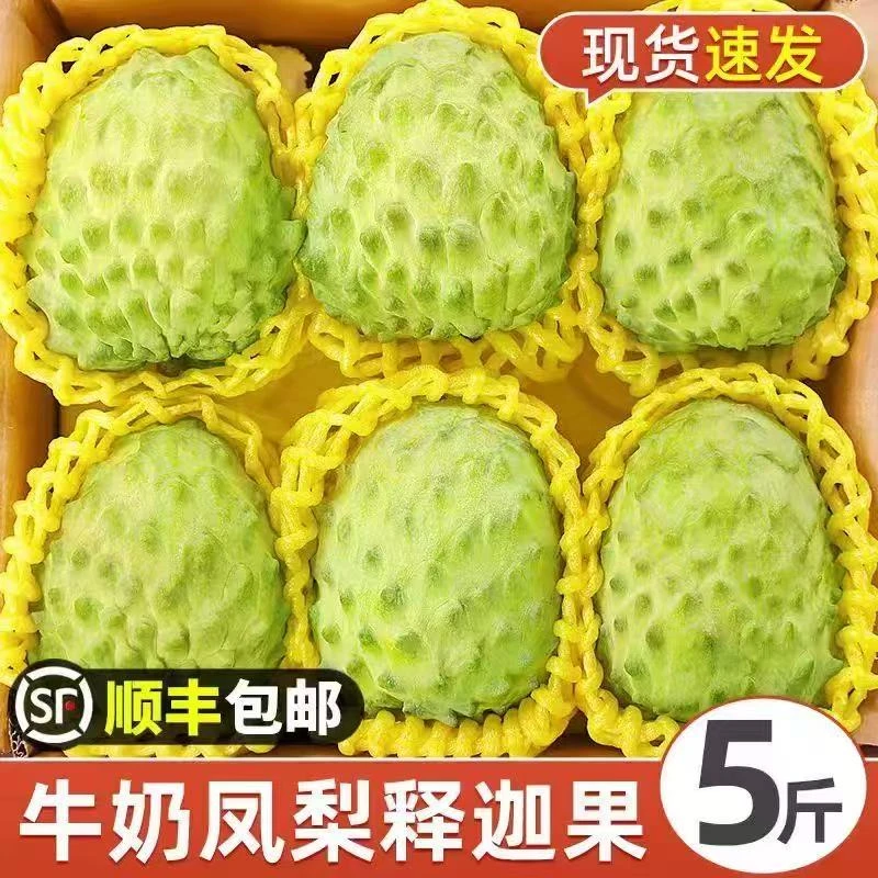 正宗潮汕樟林林檎牛奶大目佛头果摩尼番荔枝新鲜送礼水果莲雾果