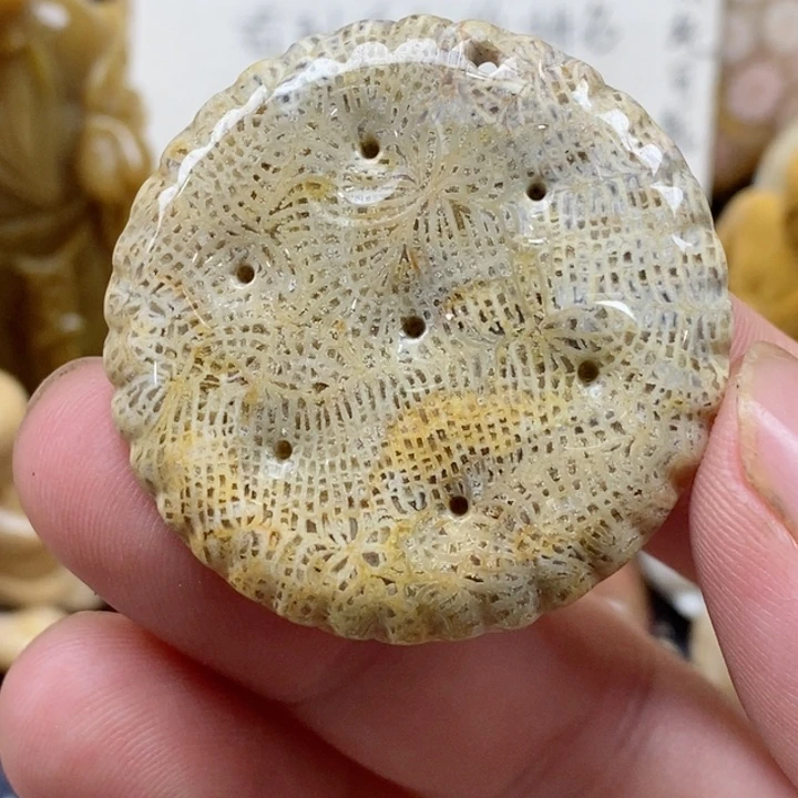 颈饰未镶嵌硅化珊瑚（珊瑚玉）