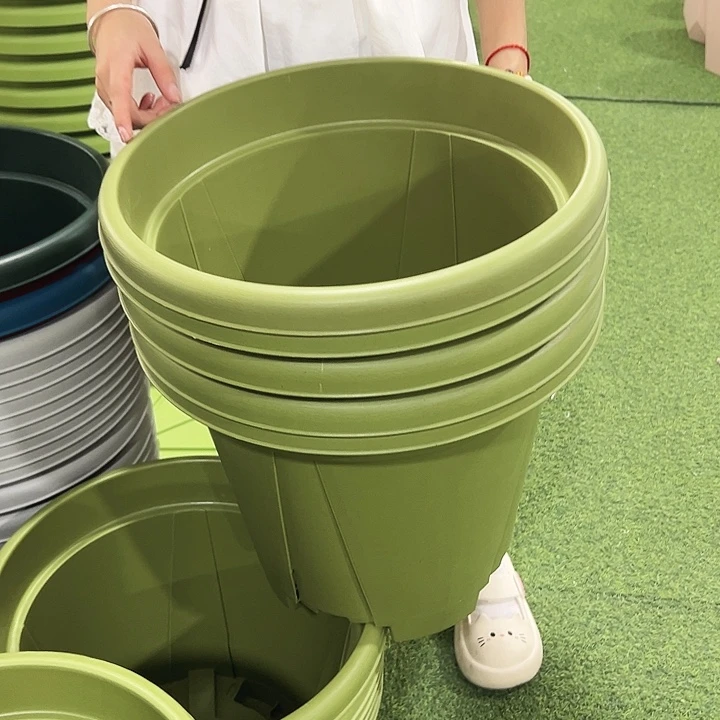 青山口40高34果绿色5只无托