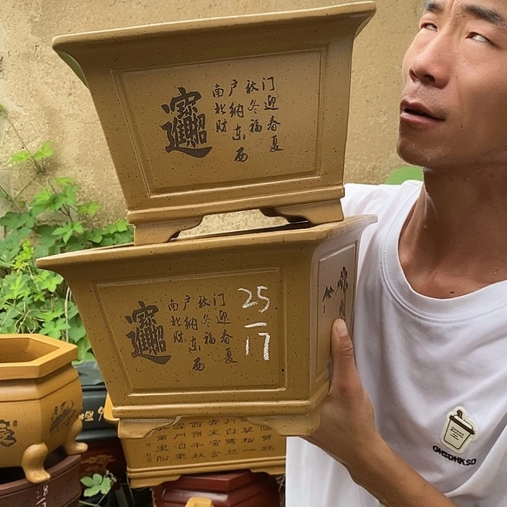 花盆紫砂这个世界上最好不过的