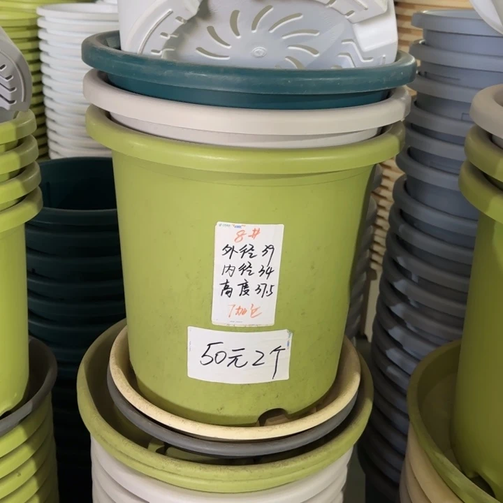 微瑕8#口径39无托果绿3个