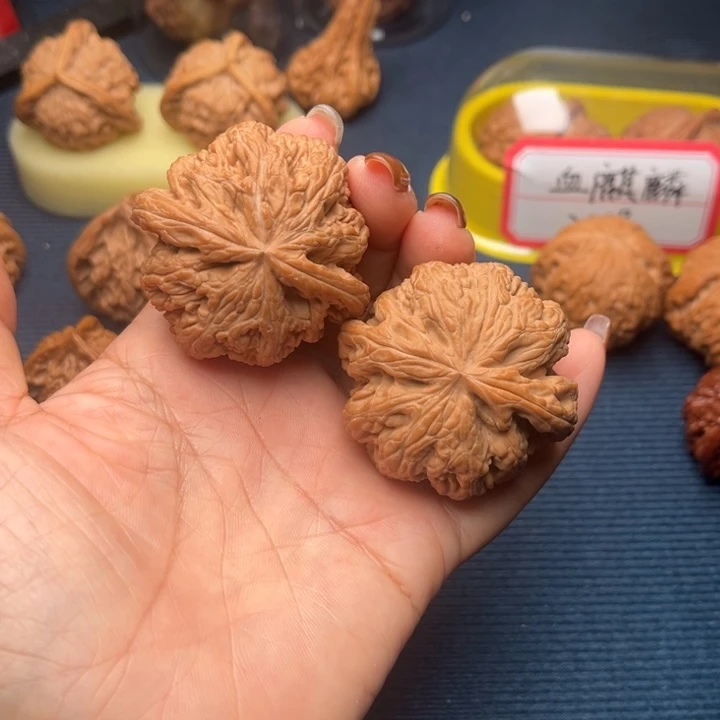 文玩核桃吊坠47粗筋全品