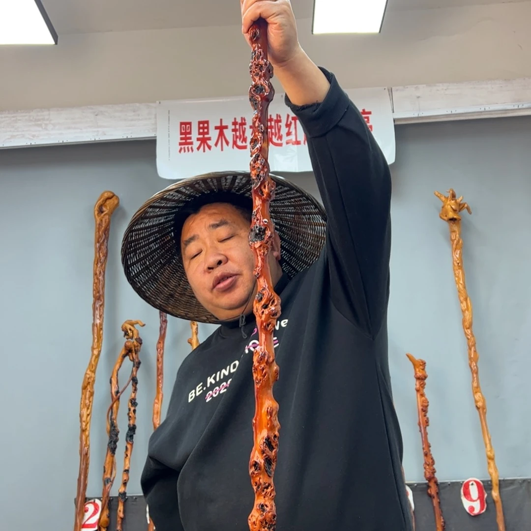 黑果木其他旺*黑果木550