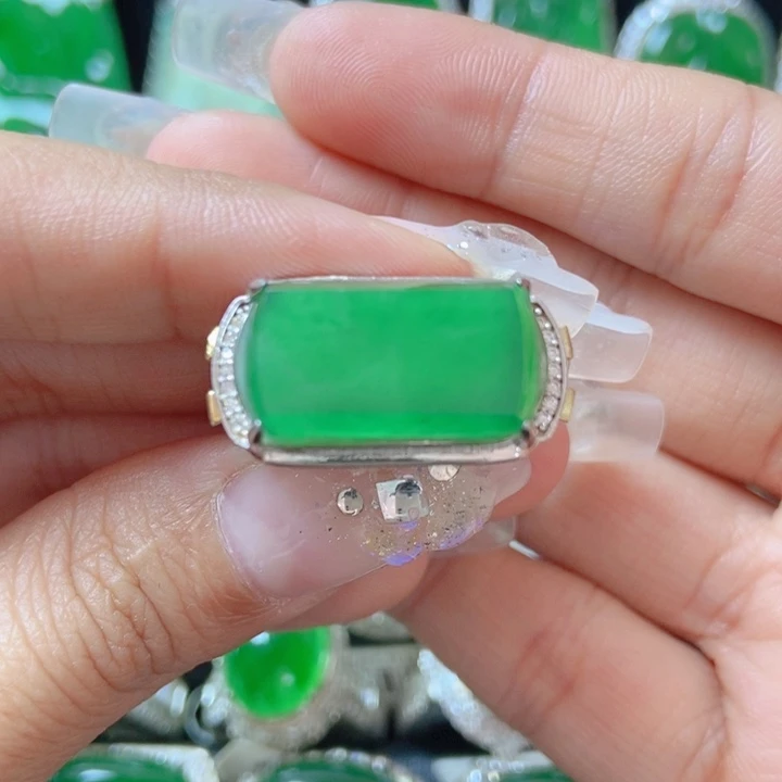 翡翠颈饰银S925镶嵌鸿**术