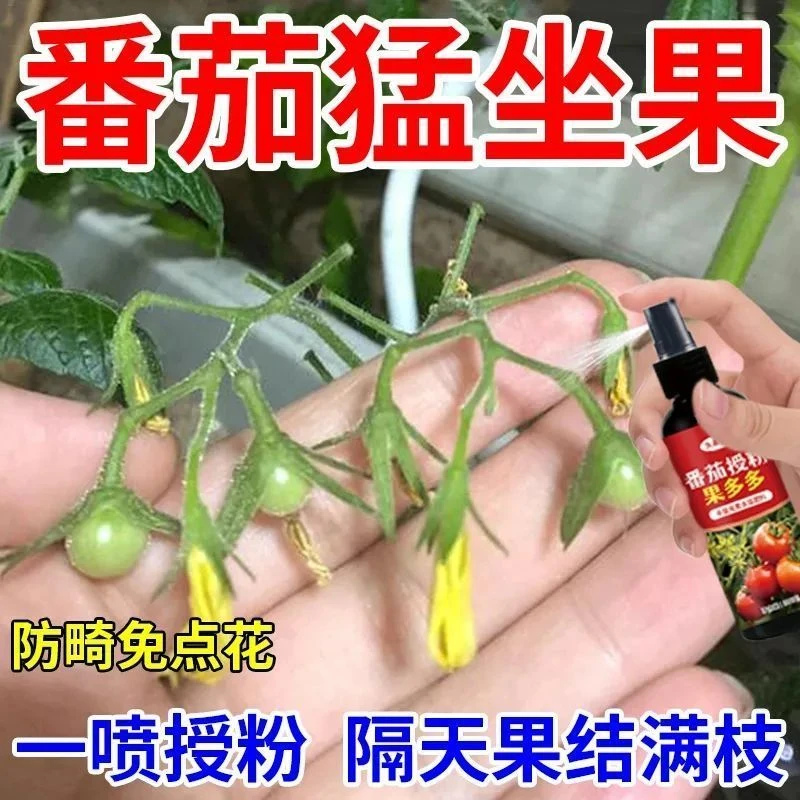 番茄催花座果灵番茄授粉果多多水溶肥西红柿强效授粉保花保果皂粉