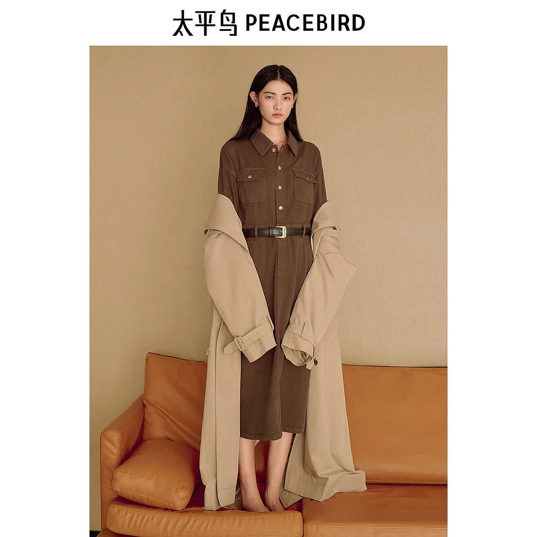 【商场同款】太平鸟女装2025年春季连衣裙时尚新款裙子A1FAF1125