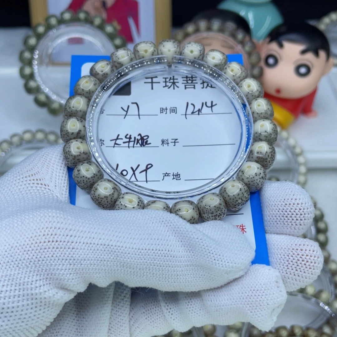 菩提籽类Y7大牛眼