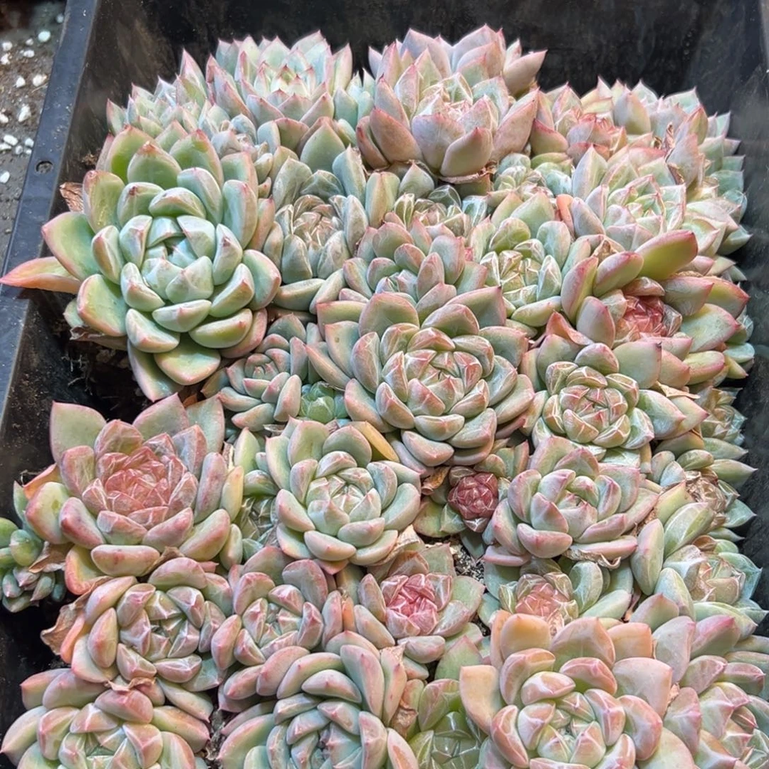 240点点滴滴的断断续续