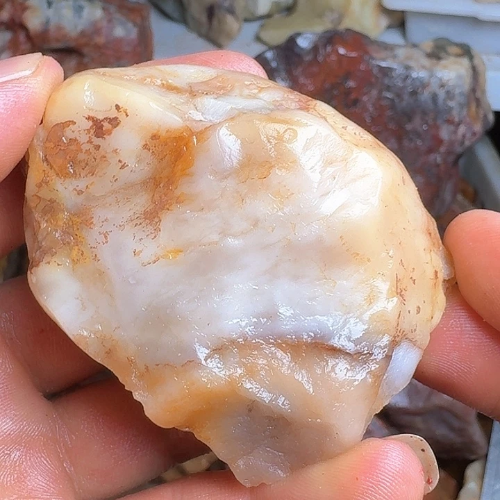 上***室寿山石寿山石的种类