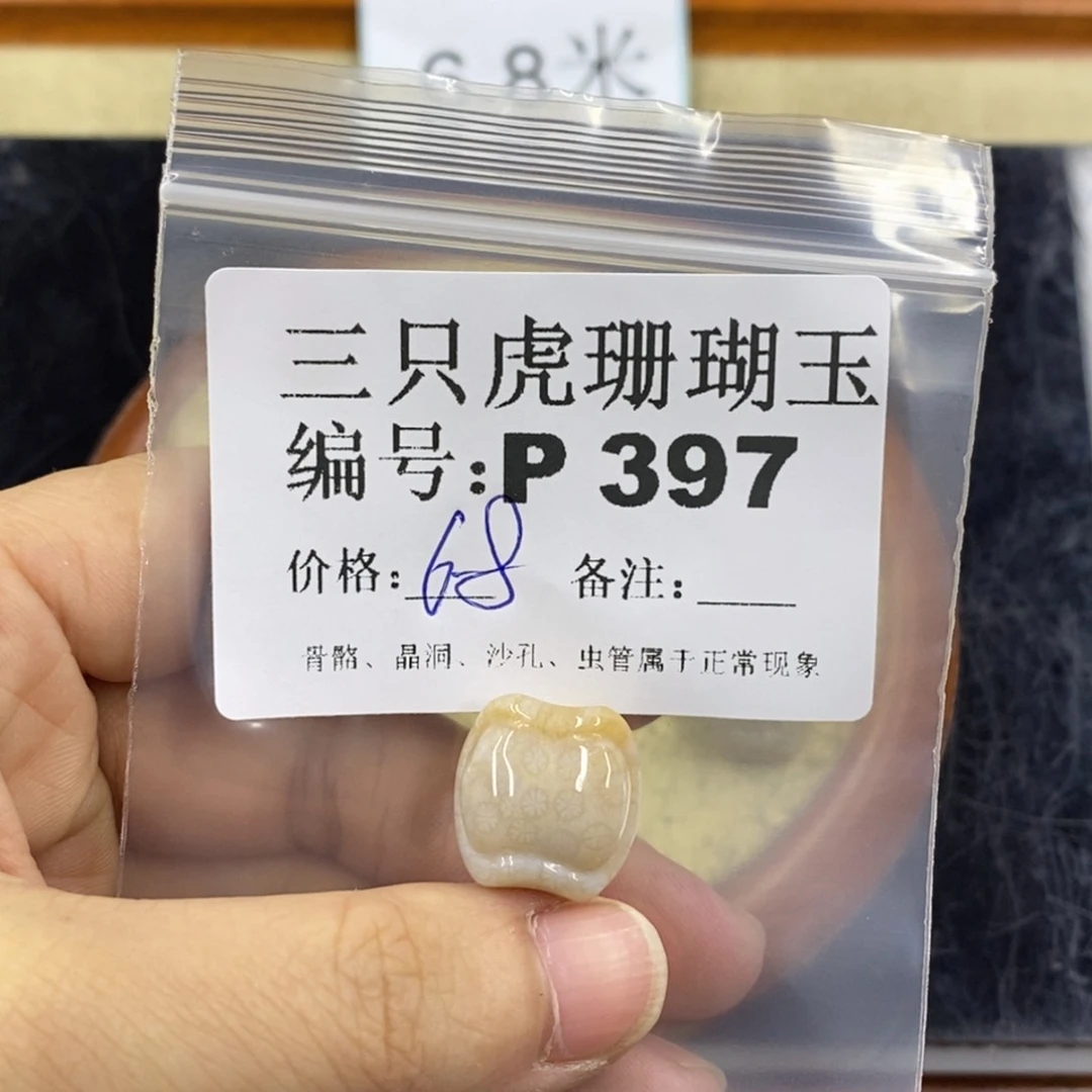 硅化珊瑚（珊瑚玉）1未镶嵌原*
