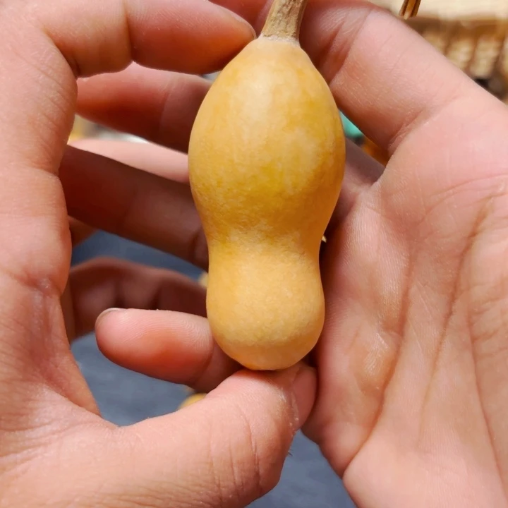 执****拉88888888888888888888