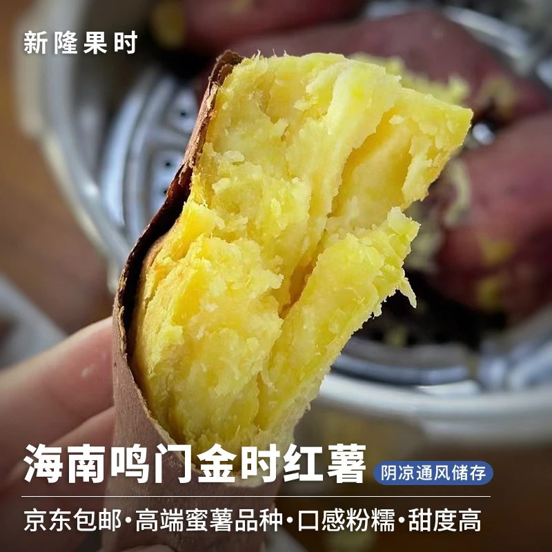 【京东包邮】海南鸣门金时红薯3斤/4.5斤软糯香甜番薯地瓜蜜薯整箱