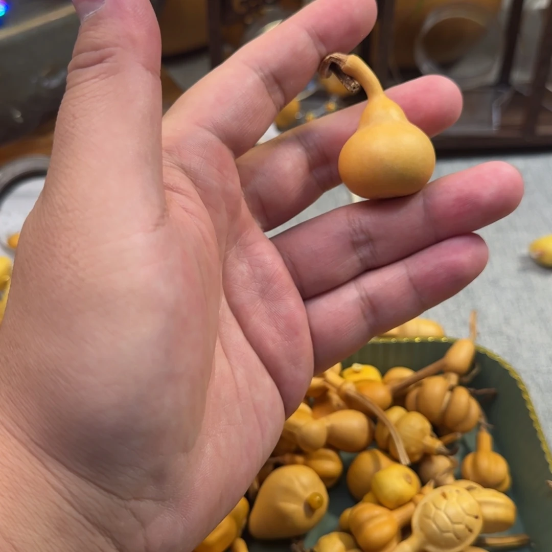 葫芦葫芦了葫芦葫芦了