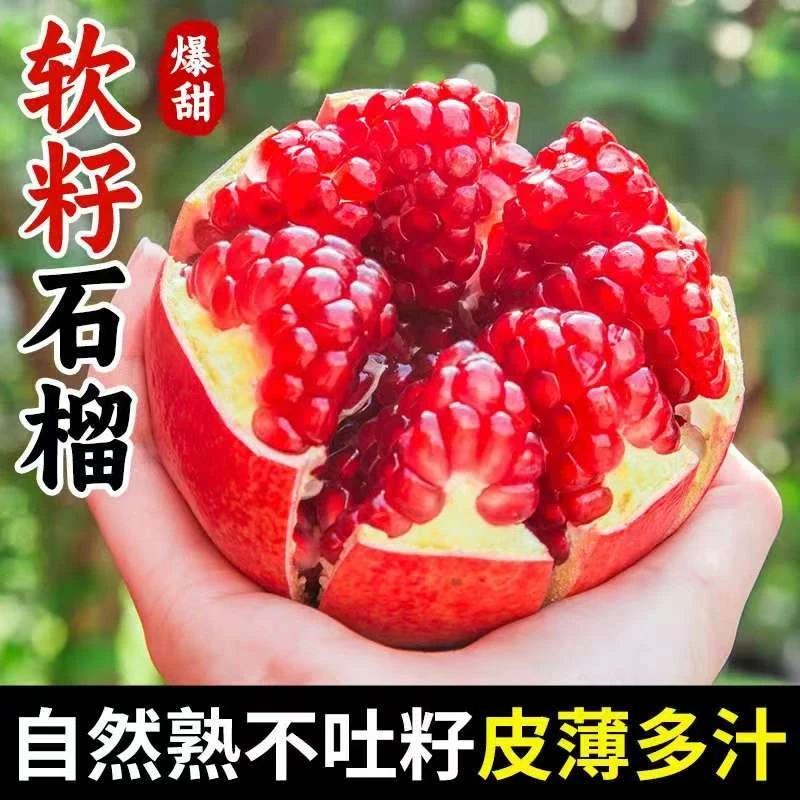 四川会理突尼斯软籽石榴现摘现发纯甜正宗当季新鲜多仓发货