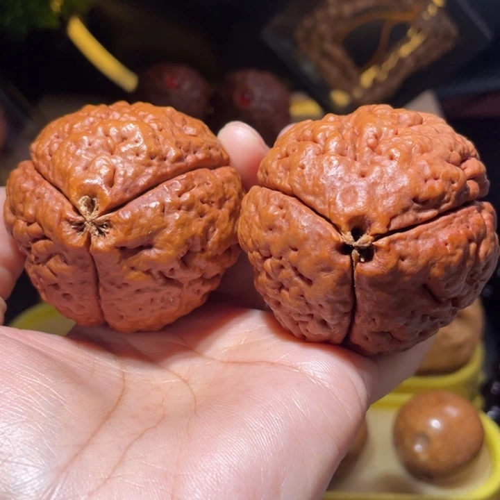 桃核把件爆肉金刚菩提55正圆