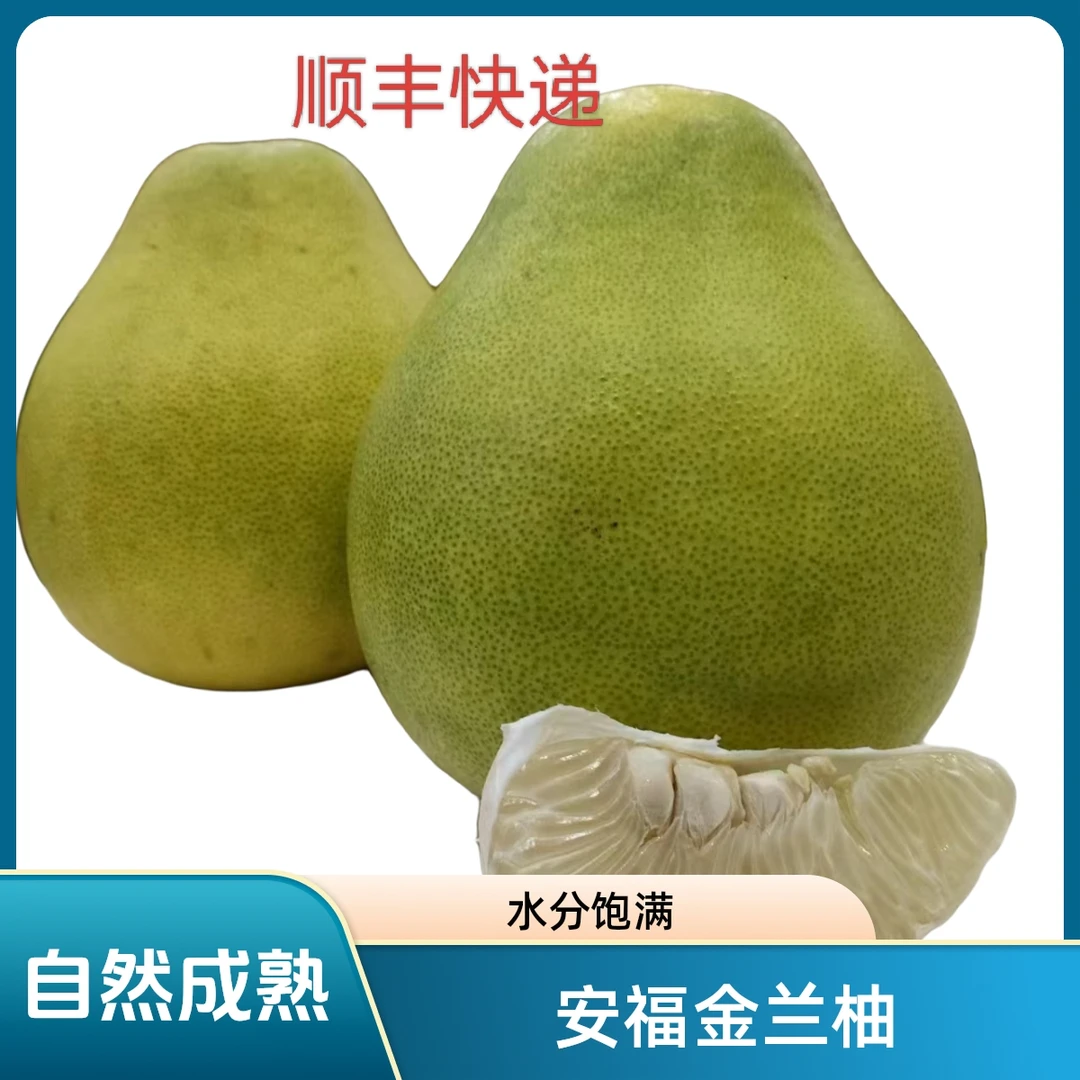 正宗江西安福老树金兰柚20公斤山地成熟水分饱满果园直发井冈蜜柚