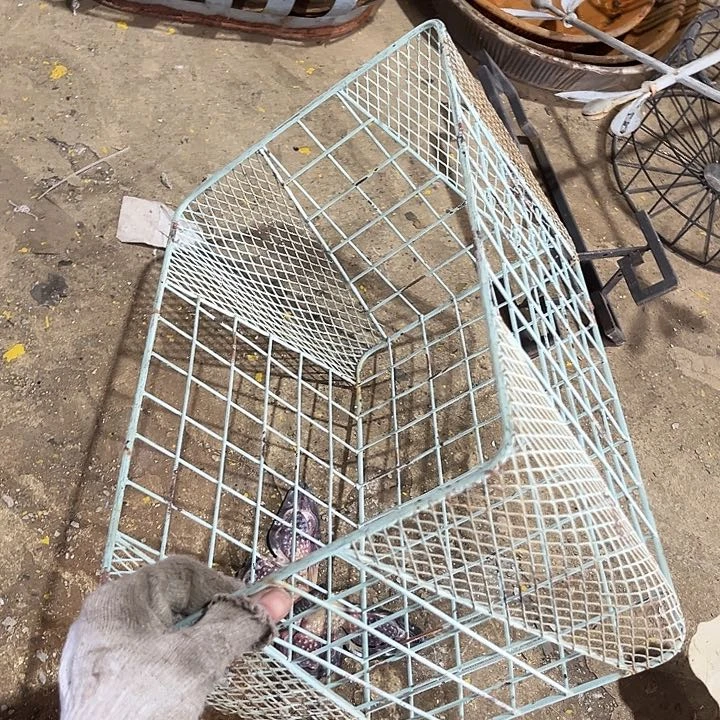哈哈哈哈就外贸哈哈