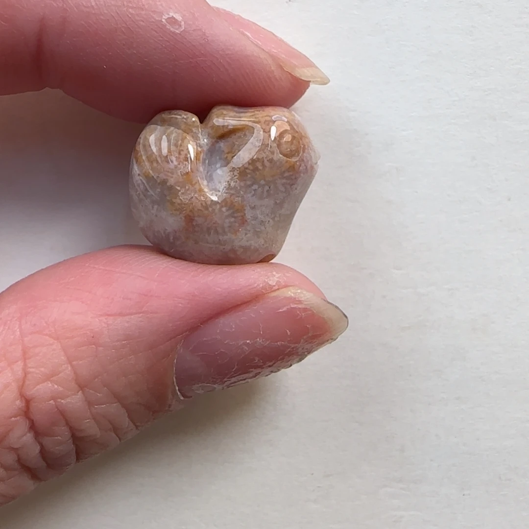 硅化珊瑚（珊瑚玉）未镶嵌颈饰