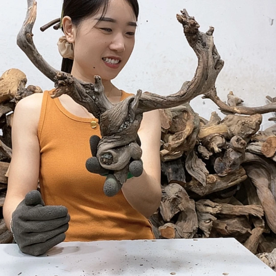 【闪购商品】柏木兰****司我们都是好孩子