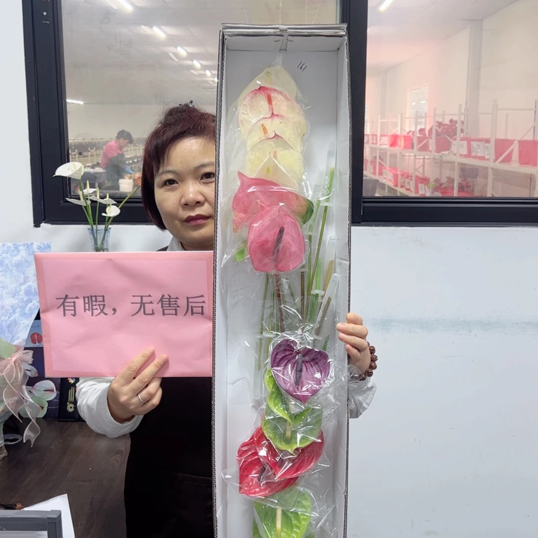 完全开放混色-16枝装无售后款161