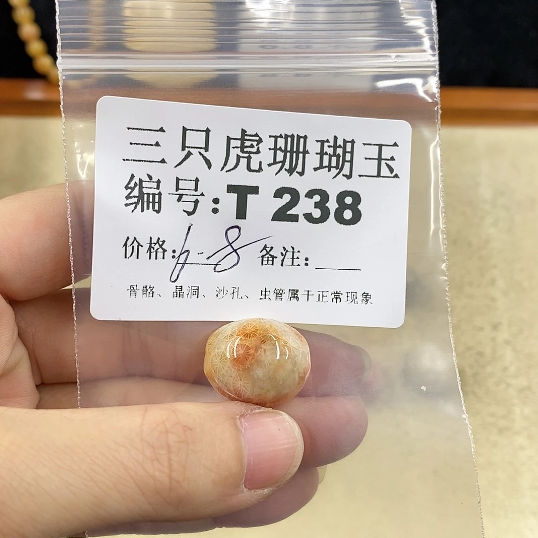 硅化珊瑚（珊瑚玉）1 未镶嵌庄***水
