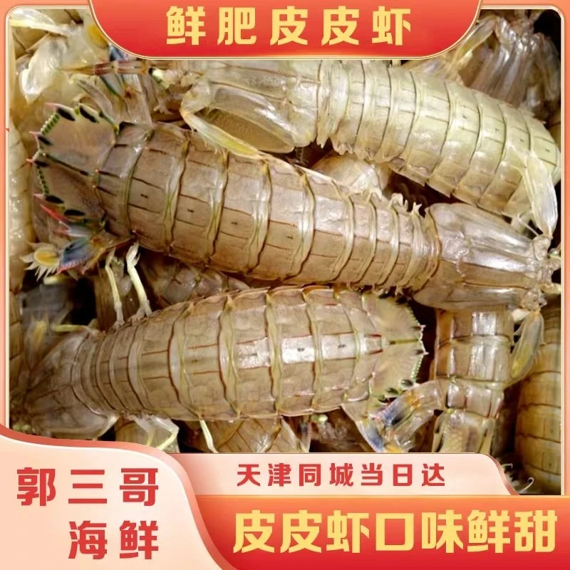 【保鲜不保活】中片皮皮虾一斤30多只