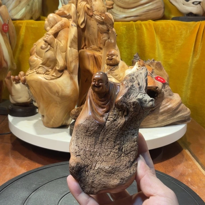 柏木（崖柏）崖柏   弥勒