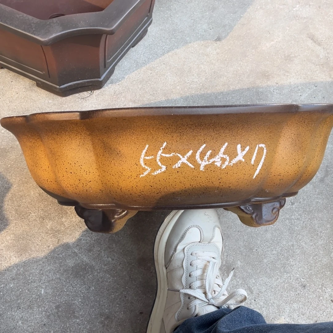 花盆紫砂盆景艺术