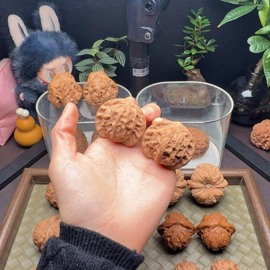 龙脊菩提把件全品图图42