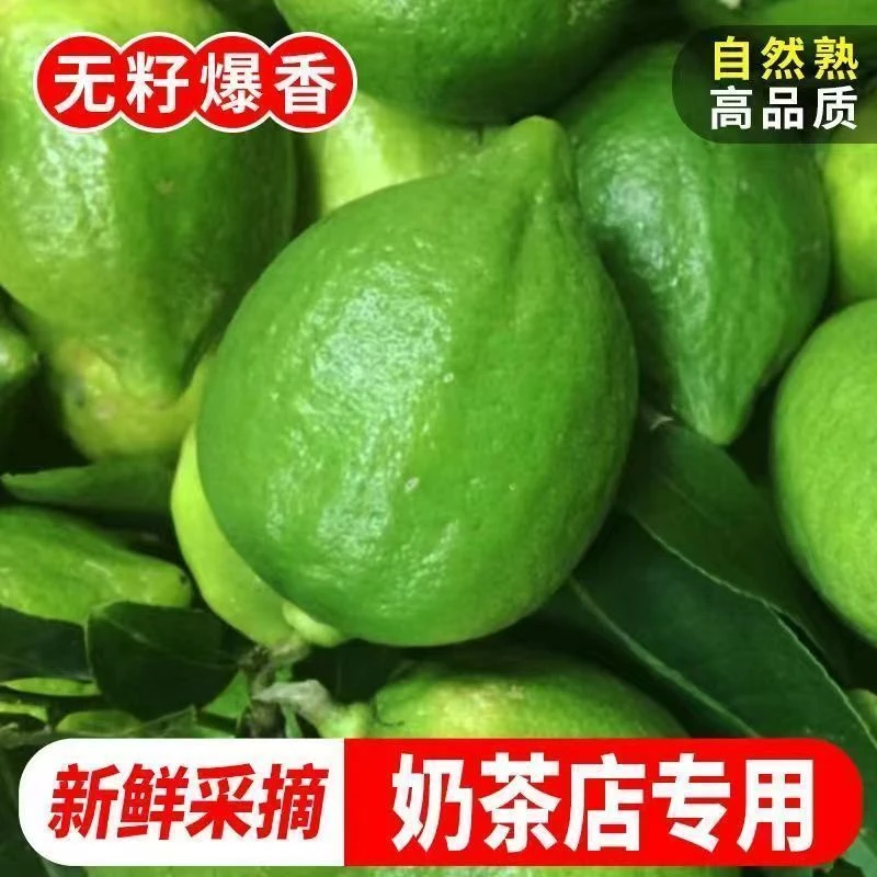 广东香水柠檬自产自稍