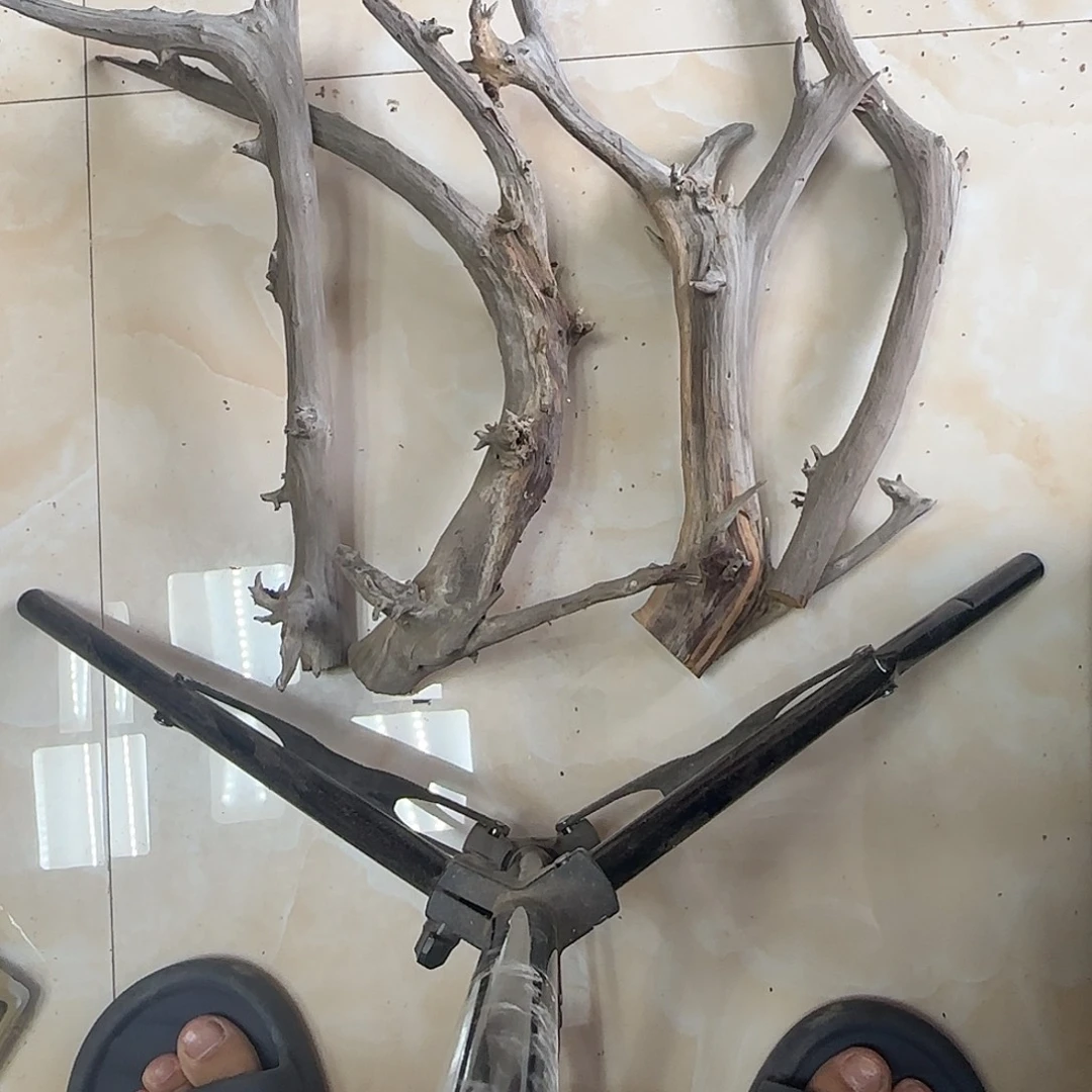 ༒***木红骨枝枝条条料子