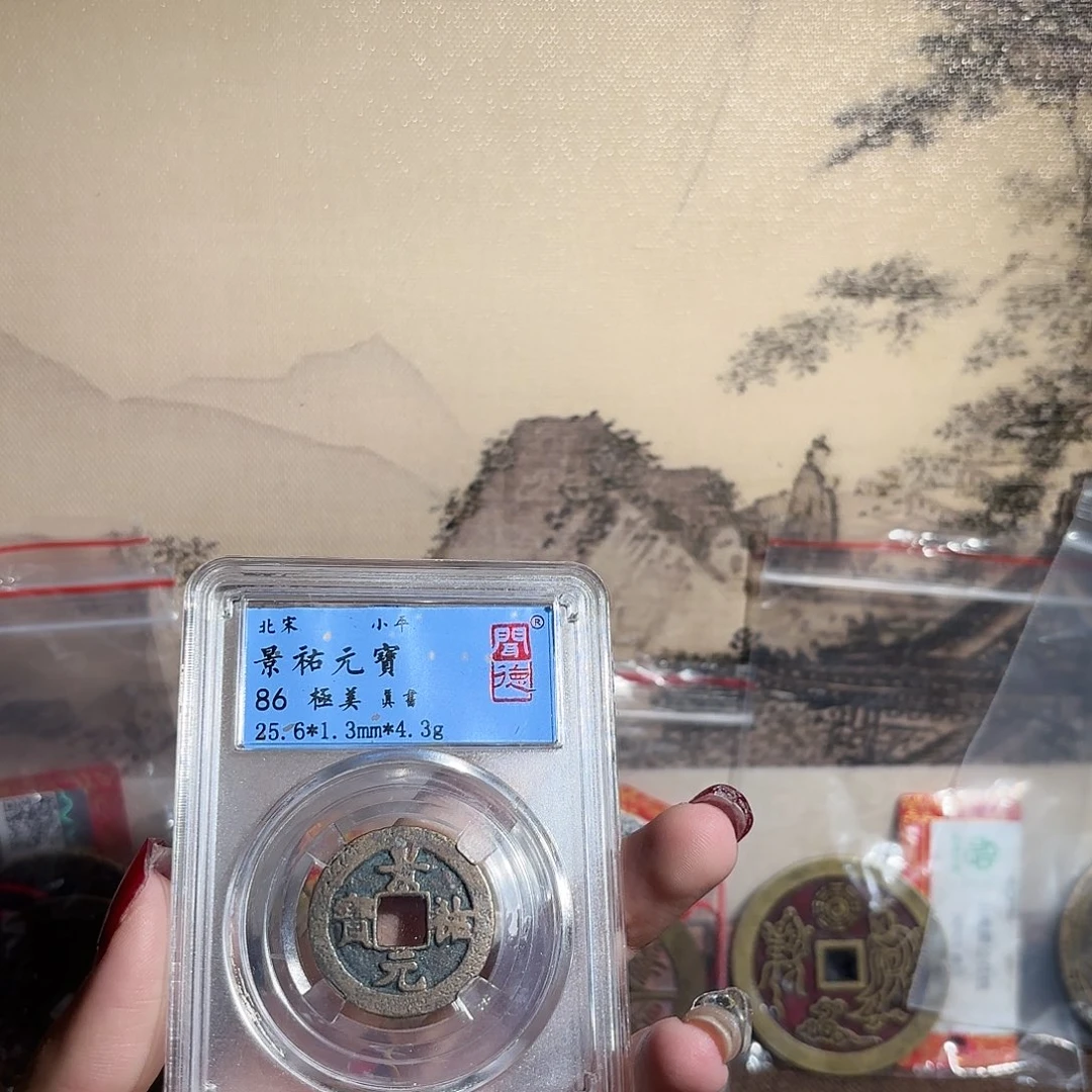 铜景祐元宝……观海