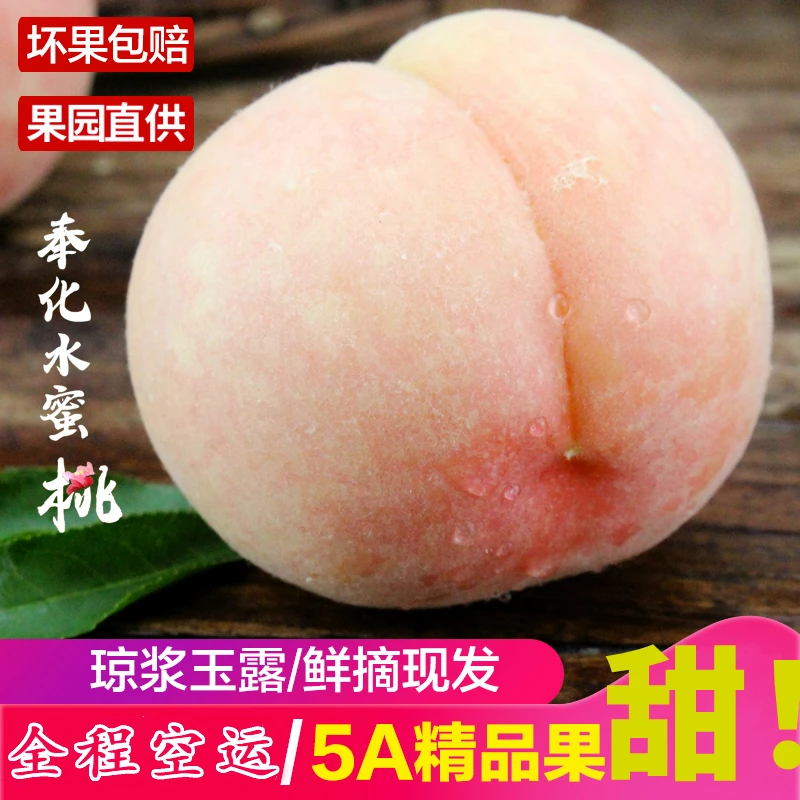 【买一送一专享】空运正宗奉化水蜜桃软甜现摘现发湖景玉露礼盒包邮