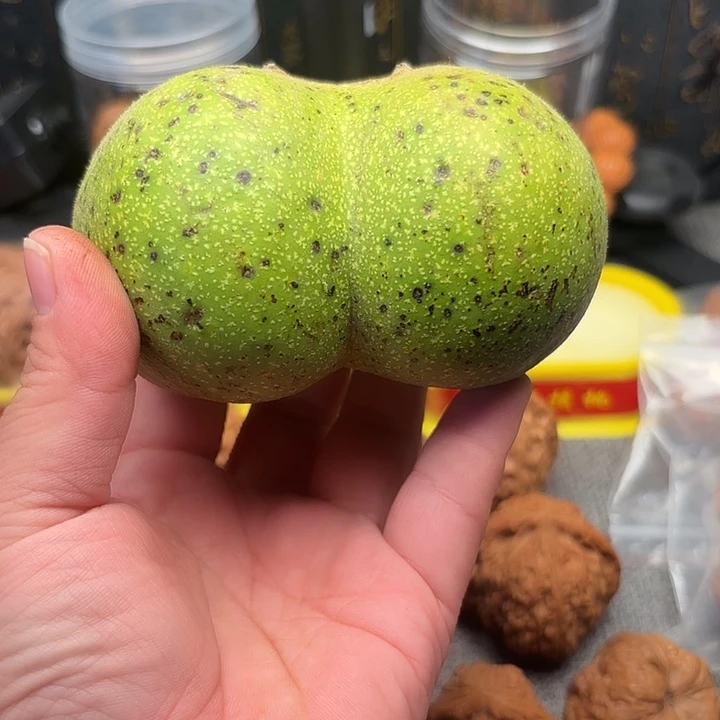 早***起文玩核桃吊坠白狮子